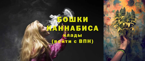 винт Богданович