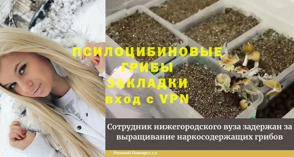 мескалин Богородск
