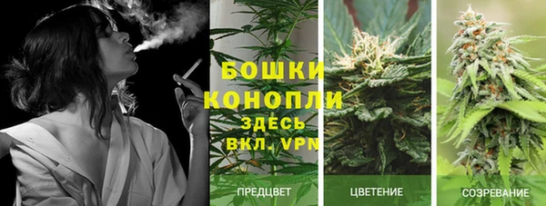 винт Белокуриха