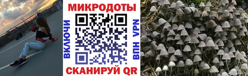купить  цена  Комсомольск-на-Амуре  shop телеграм  Галлюциногенные грибы мицелий 